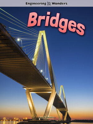 Bridges - ebook